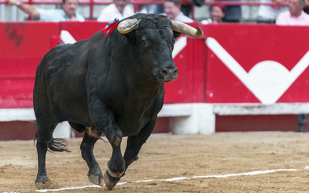 CROBEX u vrhu burzovnih indeksa srednje i istočne Europe