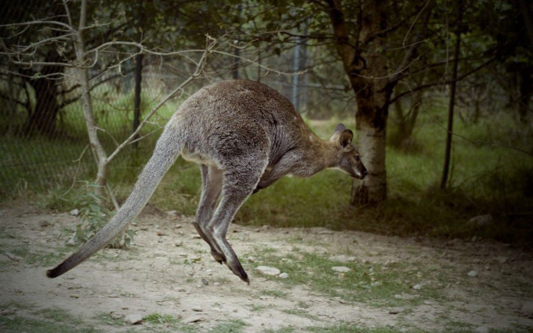 AD Plastiku skočila dobit 45% u prvih šest mjeseci
