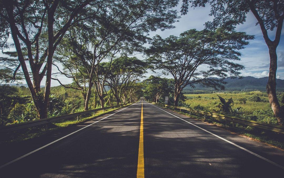 Investitori napokon zadovoljni dividendama hrvatskih kompanija…