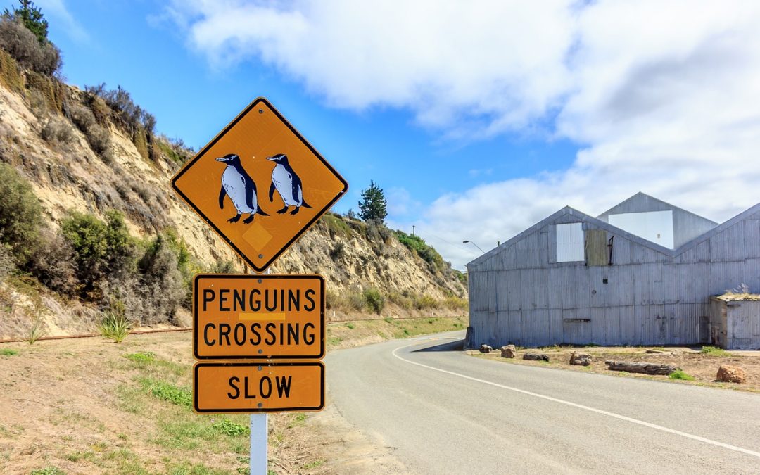 Wall Street: Indeksi pod pritiskom usporavanja rasta ekonomije