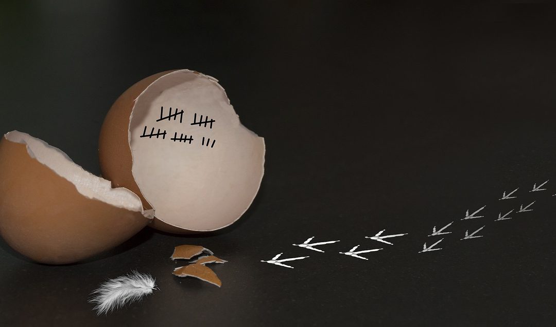 Bez digitalne transformacije Rimac ne bi rastao, Infinum bi se raspao