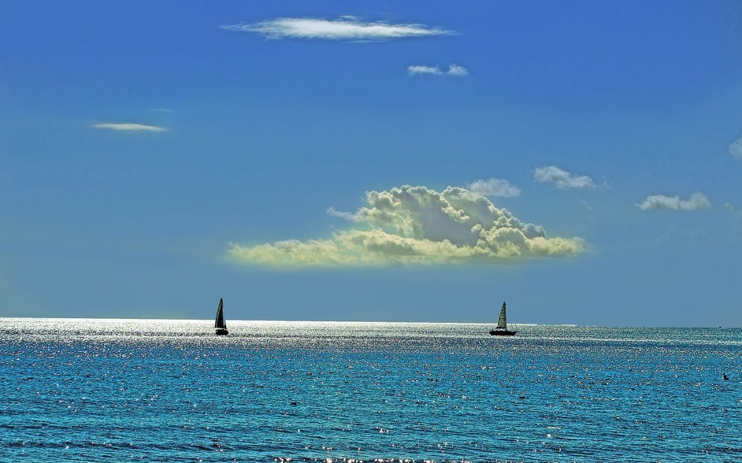 Kako Amerika redizajnira globalni ekonomski poredak