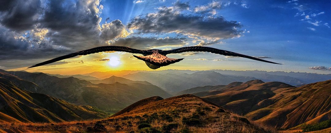 Elitno društvo nadmašilo očekivanja analitičara