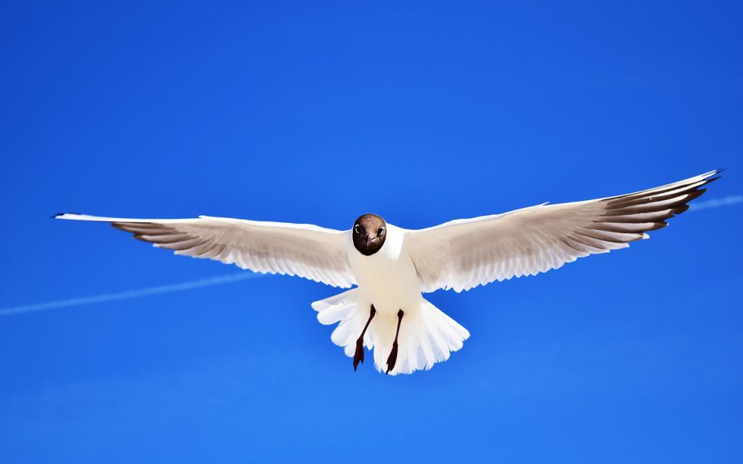 Kako tumačiti “nevjerojatnih” 3,9% ?