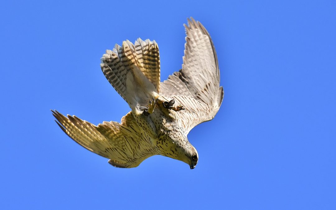 Ericsson NT: Rast prihoda i dobiti, pad bruto marže