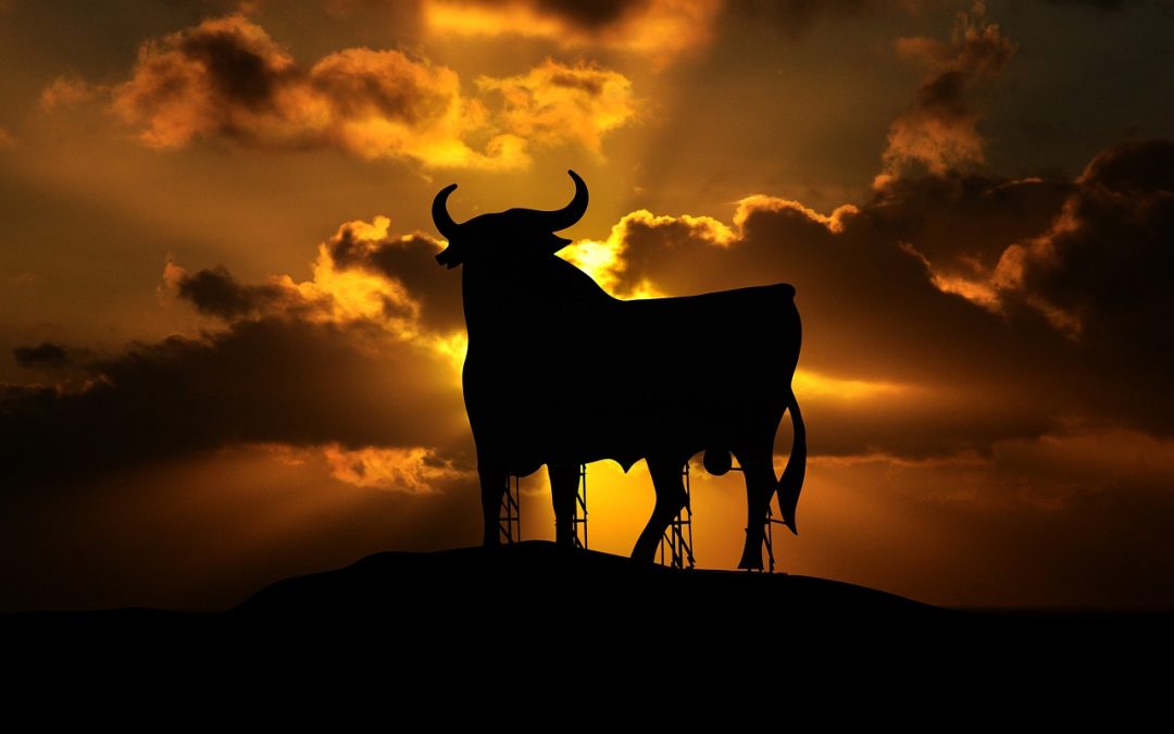 S&P 500 u godinu dana skočio gotovo 80 posto