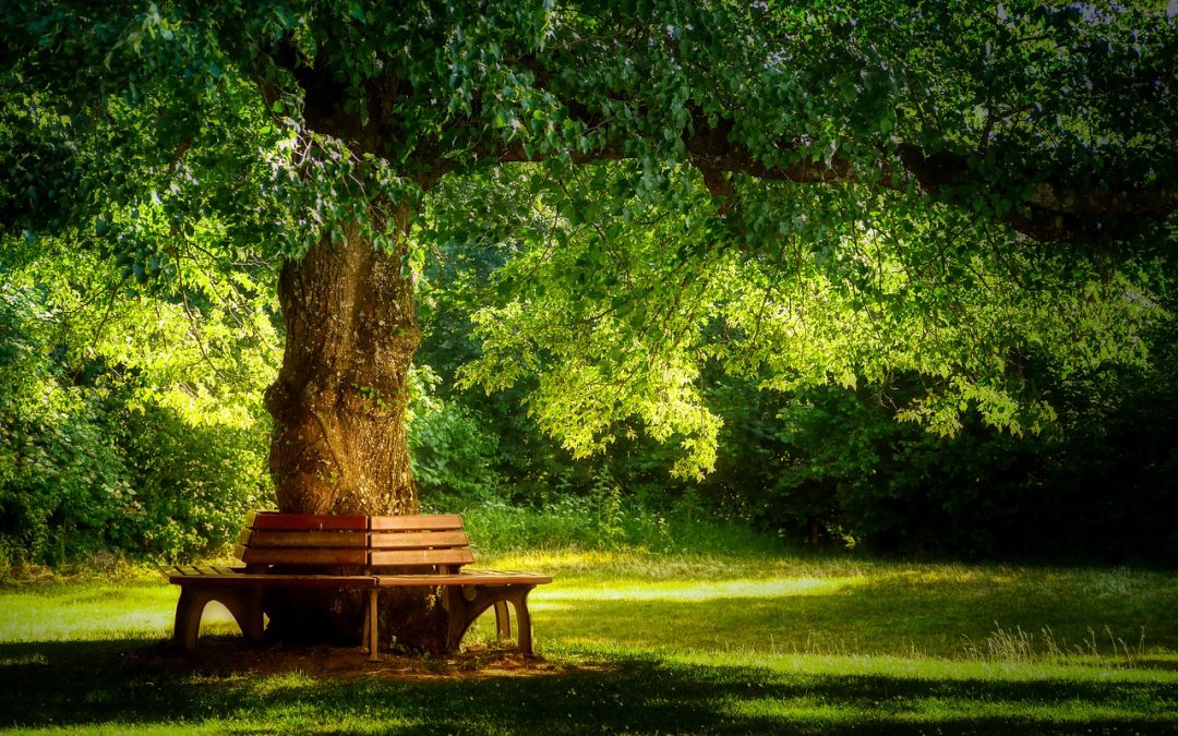 Podaci iz Kine podigli indekse