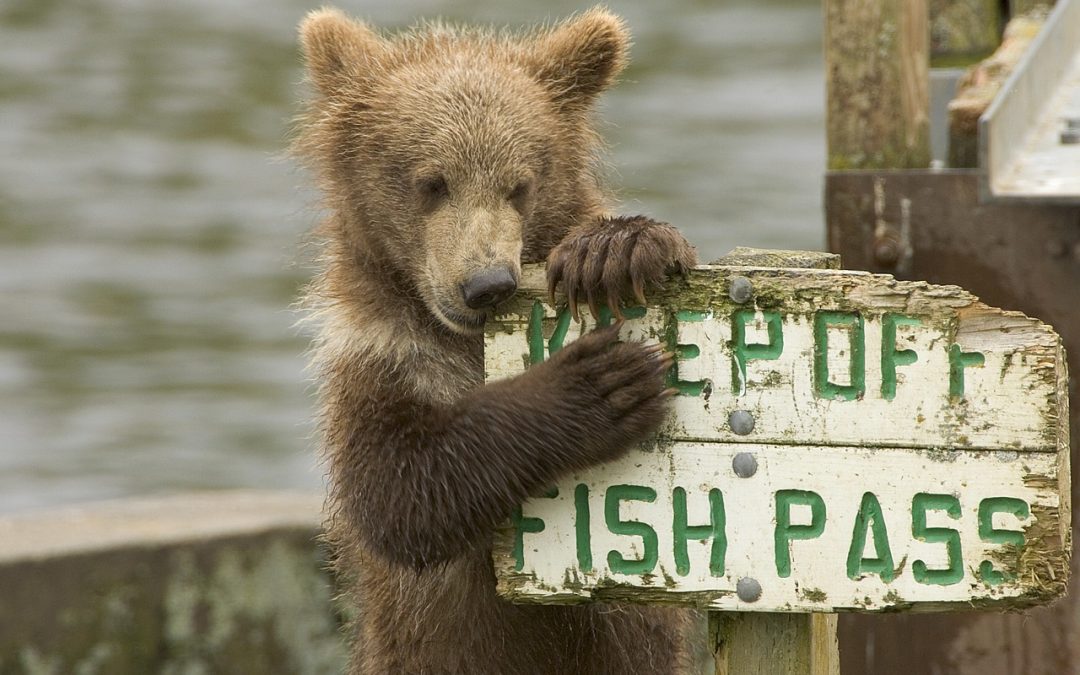 Powellove izjave uznemirile investitore na europskim burzama