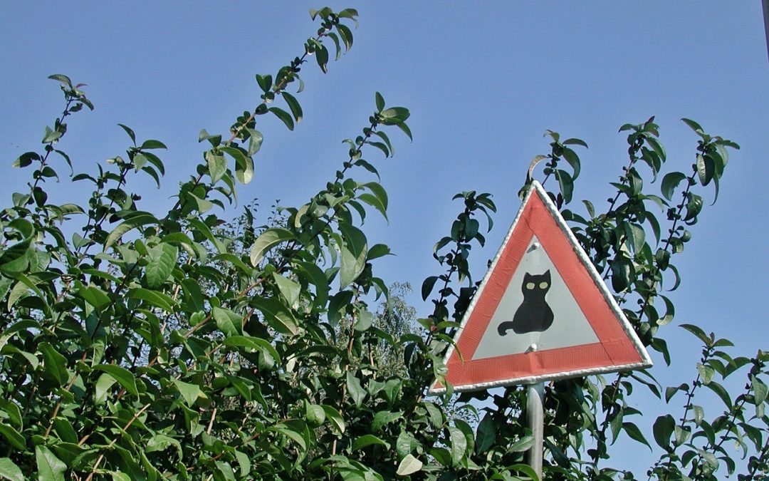 Azijska tržišta: Oštar pad indeksa zbog straha od novog vala koronavirusa