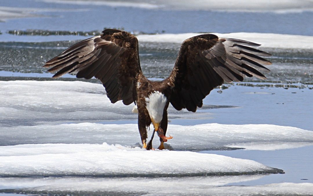 Wall Street: S&P u drugom kvartalu skočio 20 posto