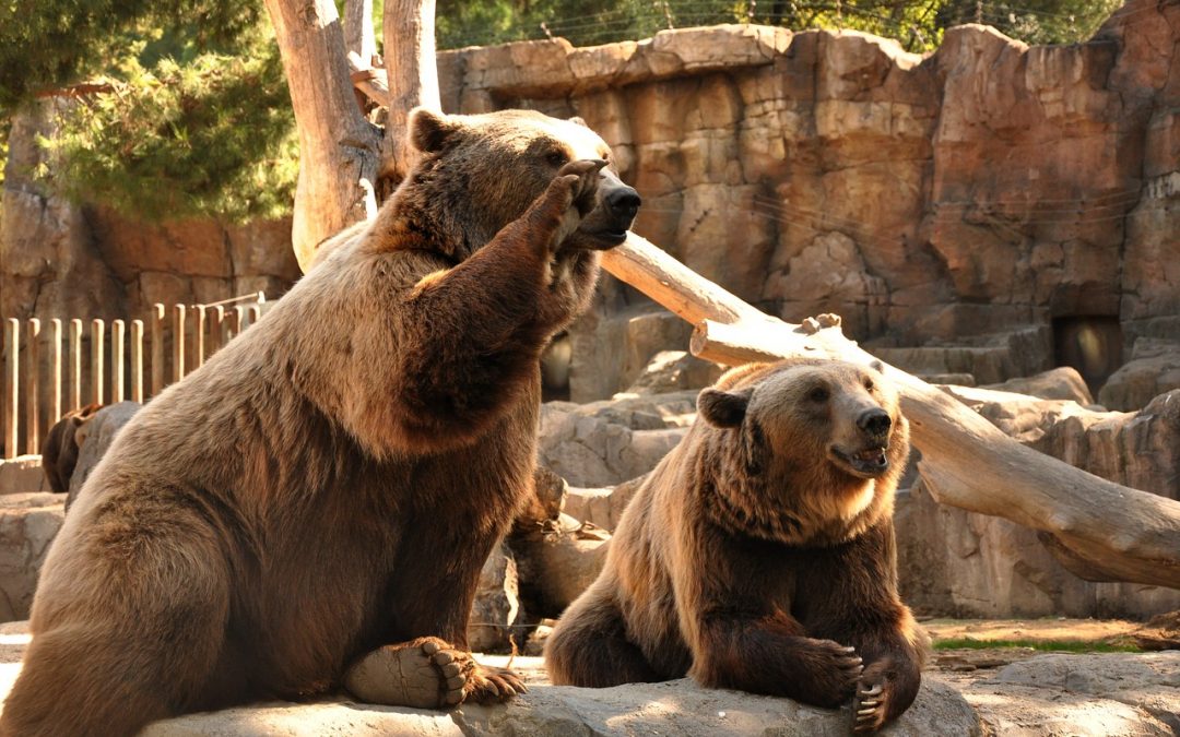 Kina poručila da su američke tvrtke dobrodošle