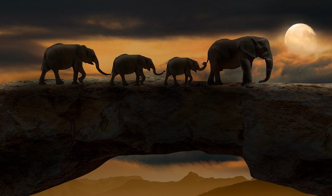 Europska tržišta pala četvrti dan zaredom